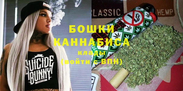 хмурый Арсеньев