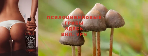 ALPHA PVP Алзамай