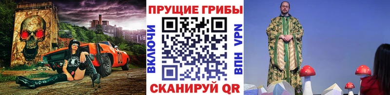 Галлюциногенные грибы Psilocybe  kraken зеркало  Железноводск 