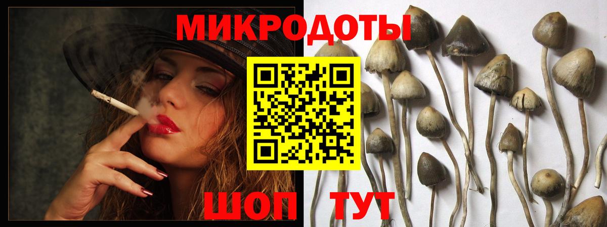 Железноводск  Псилоцибиновые грибы мицелий  Вход с VPN 